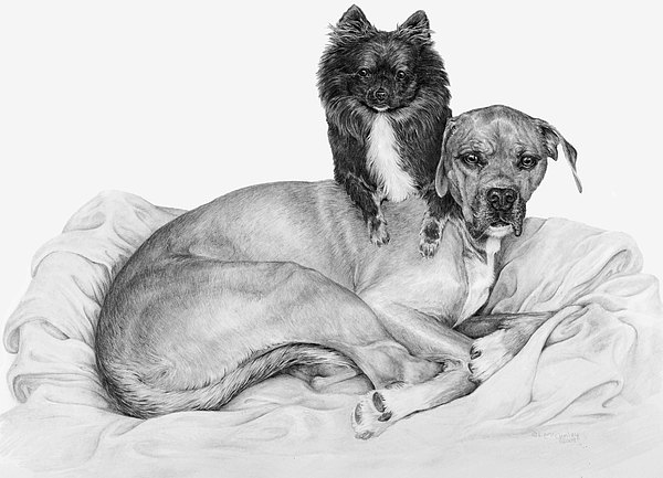 A Shoulder to Lean On by Laurie McGinley A Shoulder to Lean On by Laurie McGinley